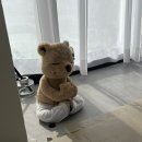 나마스떼 힌디어 첫걸음 | 제주시청요가 &lt;김소연요가원&gt; :: 1:1 맞춤 소규모수업 찐 만족후기