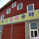 오로라승마장 이미지