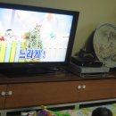 머리중독