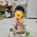 꽃날 | 베베드피노 85, 11개월 아기 실착핏 실착후기