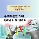 부르지 못한 노래… 허재비도 잠 깨우고 / 손용상 시집 (전자책) 이미지