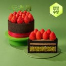 연원삼성쉐르빌(아) | 투썸 두초생 미니 가격 예약 현장구매 맛 후기