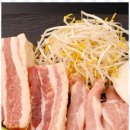 진돈 이미지
