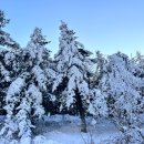 진숙목장 이미지