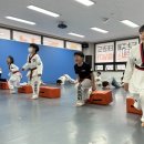 용인대단재태권도 이미지