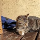 광교역 1번출구 이미지