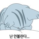 지경희동물병원 이미지