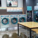 쿠르토스평택