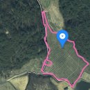 봉화봄빛공인중개사사무소 | 봉화과수원