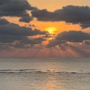 신영영농조합법인 이미지