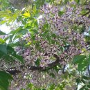 카페수목원 이미지