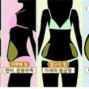 에스와이유 이미지