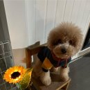 한옥스테이온 이미지