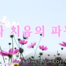 [문의] RCZ의 에너지가 RFID 전파방지 원단을 통과하는지요? 이미지