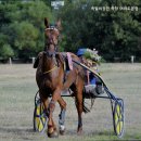족발의장인족장 | 여의도맛집 족발의장인 족장 여의도본점 여의도 족발의 명가