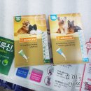 건강나누리약국 이미지