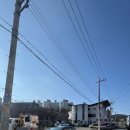 사랑의무료급식소 | 대구 엑스코 맛집 굴국밥 삼계탕으로 몸보신 연화정삼계탕 엑스코 솔직방문후기