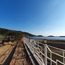 아리아오션 이미지