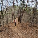 곡성-196 이미지