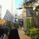 개밥맛집 | 도쿄 오모테산도 맛집 : 우나기 욘다이메 키쿠카와 히쯔마부시 장어덮밥 후기(메뉴,가격)