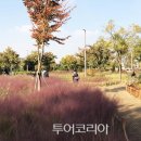 산책길 이미지