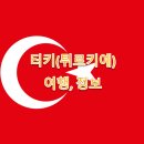 납부필증(칩) | 튀르키예 출국시 유의사항 정리