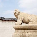 나를 위한 사주&타로