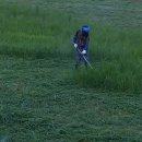 농부의 열매 | 초보농부 고추 심고 수확하기/초보 농사꾼의 고추 재배기 고추 심기부터 수확 후기