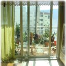 햇살좋은 이미지