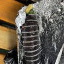 교통문화교육원사우나실 이미지