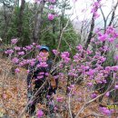 불광산약수터 이미지