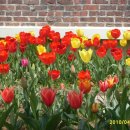 광시중학교 이미지