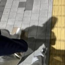투다리사들로점 네이버블로그