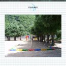 회정초등학교 이미지