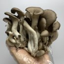 정남진농장 이미지