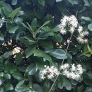 보성상가 이미지