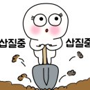 김치과기공소 이미지
