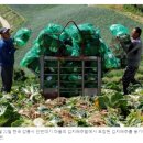 미화농수산