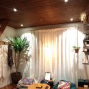 제주 알모 이미지