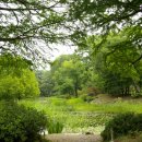 광릉수목원 이미지