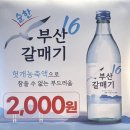 부산 장산역 맛집 연막창 대구 3대 막창 부산 상륙 초벌 막창 가성비 솔직후기