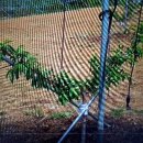 부목농장 이미지