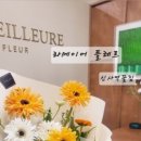 라 메이어 플레르