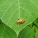 청풍호수펜션 이미지