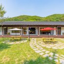 자연속의 펫 이미지