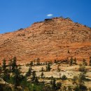 자이언(ZION) 이미지