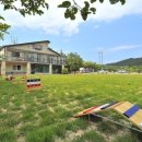 퍼피게스트하우스 이미지