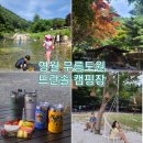 [캠핑일지]영월 무릉도원 법흥계곡 뜨란솔 키즈캠핑장 잔디A사이트 후기