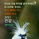 겨울철 느타리 재배 관리 요령 이미지