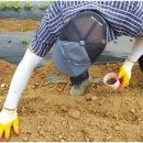 수촌농장 이미지